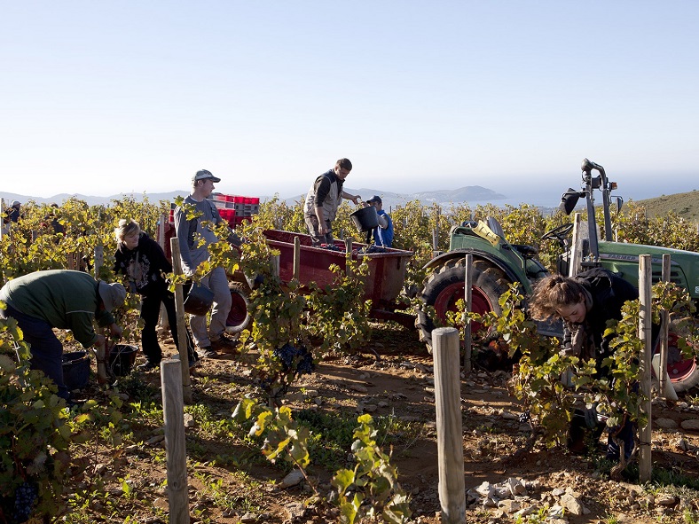 3-Domaine de la Bégude iDealwine Vins de Provence