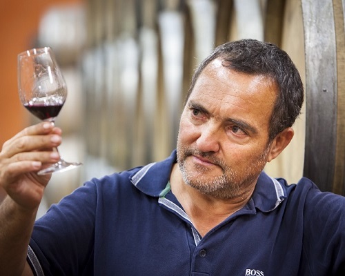 Read more about the article Yves Cuilleron | Terroir-driven and “tailor-made” wines