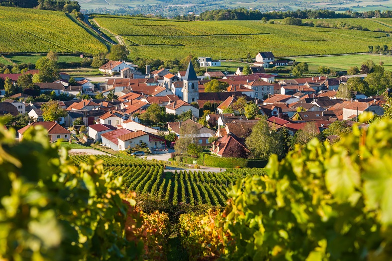 Baroville, Champagne vineyards in the Cote des Bar area of the Aube departm