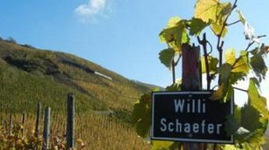 Read more about the article Willi Schaefer | Matchless wines from the Mosel