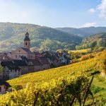 Alsace | 20 highest-priced bottles of 2019 so far