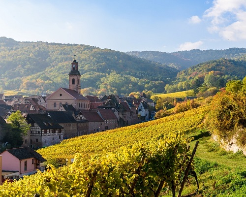 Read more about the article Alsace | 20 highest-priced bottles of 2019 so far