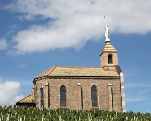 Read more about the article Beaujolais | Highest-priced bottles of 2019 so far