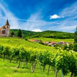 Jura, Savoy, Alsace | iDealwine selection to explore those regions