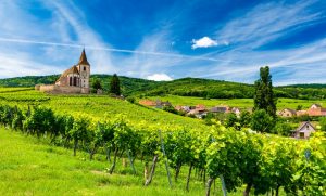 Read more about the article Jura, Savoy, Alsace | iDealwine selection to explore those regions