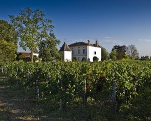 Read more about the article Château Quinault l’Enclos | The splendour of Saint-Emilion