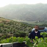 Jean-Baptiste Arena | For the love of Corsica, for the love of wine