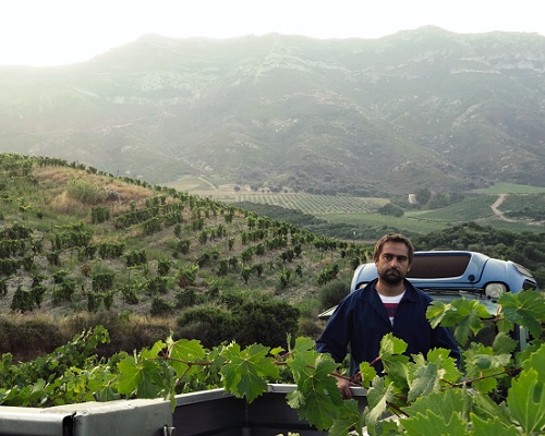 Read more about the article Jean-Baptiste Arena | For the love of Corsica, for the love of wine