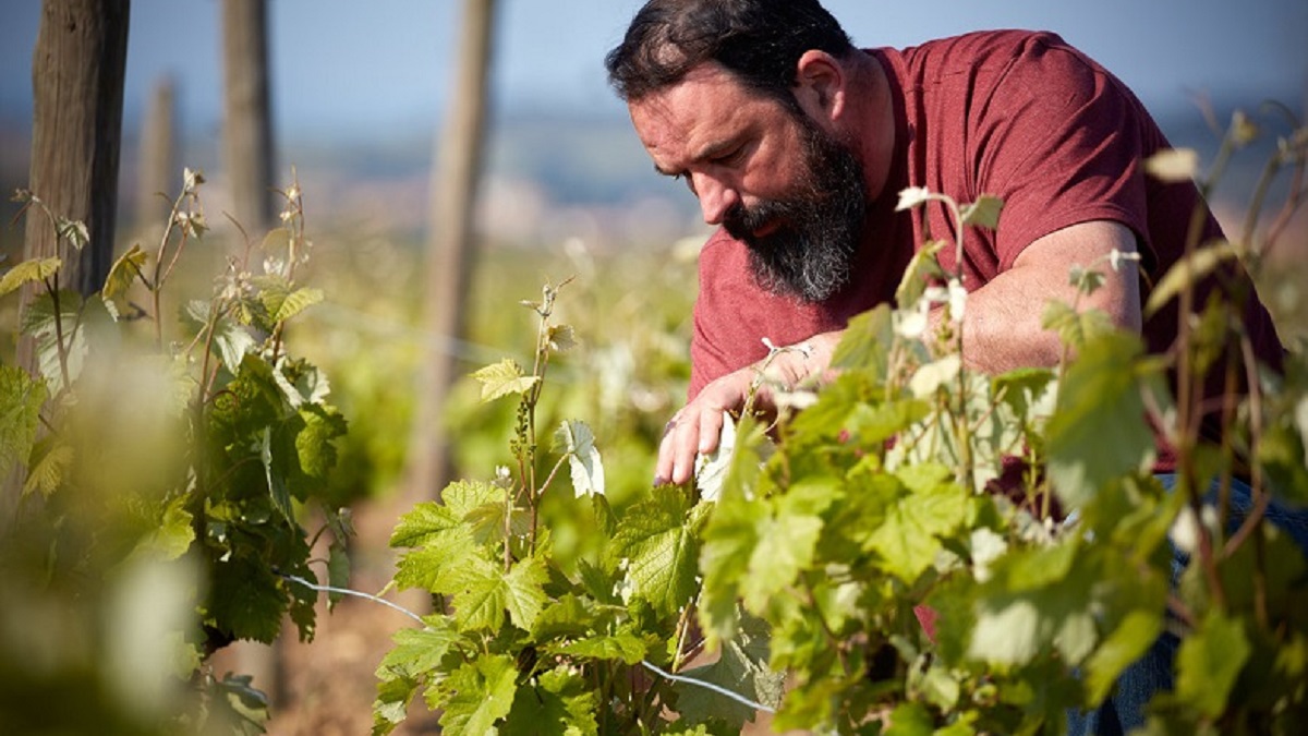 Read more about the article Jean-Baptiste Senat, artisan winemaker in the Minervois