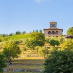 Azienda Ampeleia | The newest success of Italy’s biodynamic pioneer