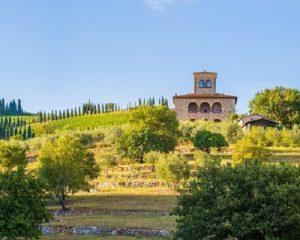 Read more about the article Azienda Ampeleia | The newest success of Italy’s biodynamic pioneer