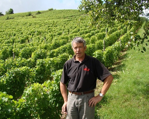 Read more about the article Gérard Boulay, among the élite of Sancerre’s fine whites