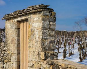 Read more about the article Uniquely Burgundy | A timeless region