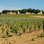 Allocation of the Week | Château d’Arlay