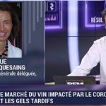 BFM Business Interview | The effects of Covid-19 on fine wine sales