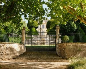 Read more about the article Château Simone | Pioneer of Provence’s Palette