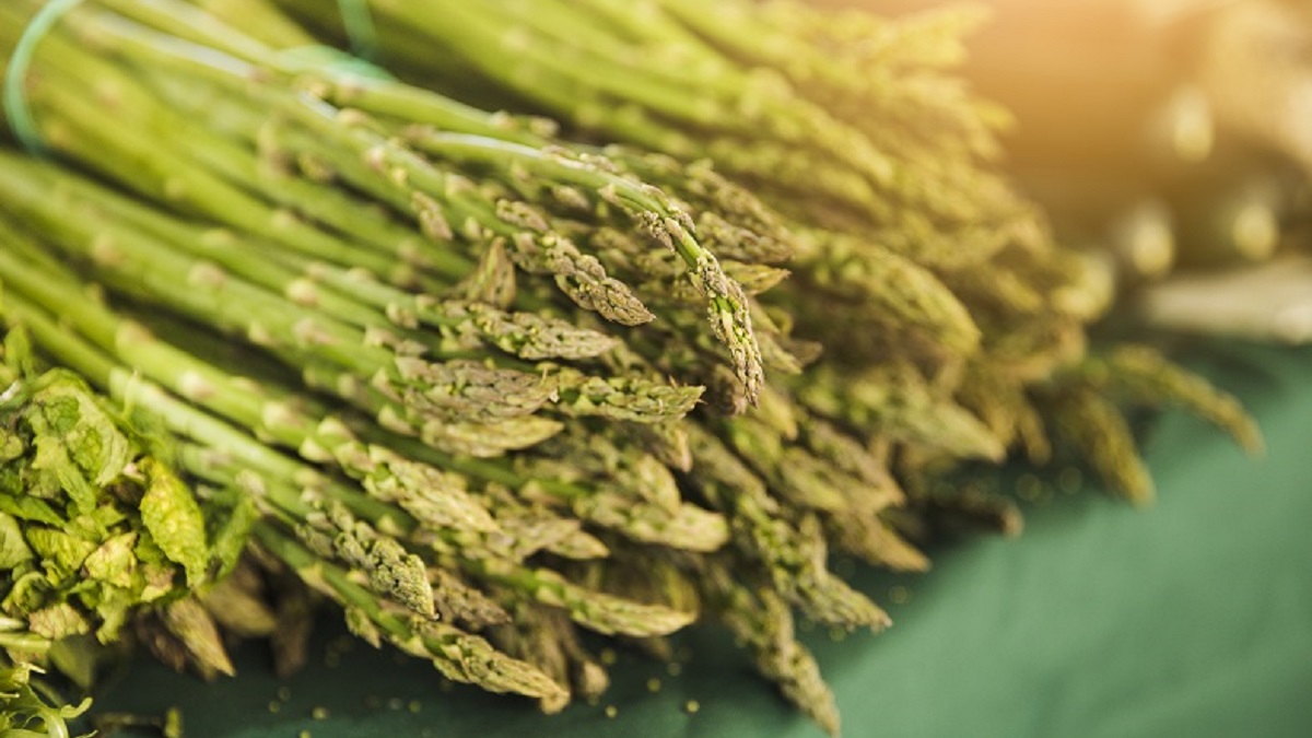 Read more about the article Spring kitchen | Asparagus and mousseline sauce with Laure