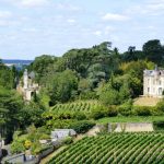 Loire wines | Tradition and dynamism