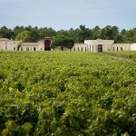 Domaine de Chevalier | A forest garden in Pessac-Léognan