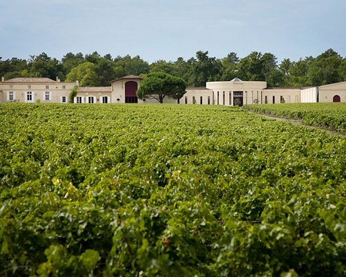 Read more about the article Domaine de Chevalier | A forest garden in Pessac-Léognan