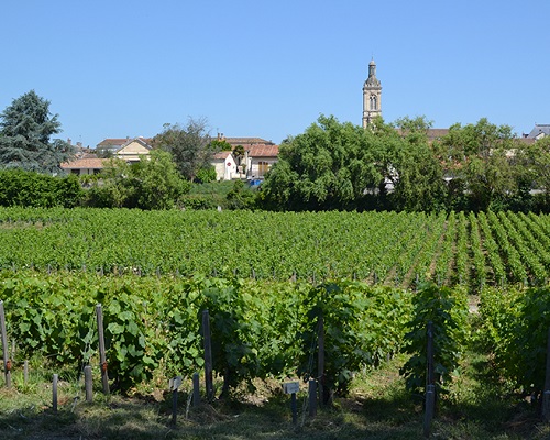 Read more about the article Primeurs 2019 | Tasting notes (3) Médoc