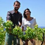 Clos Marfisi | Passing the torch in Patrimonio