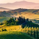 A beginner’s guide to Italian wine