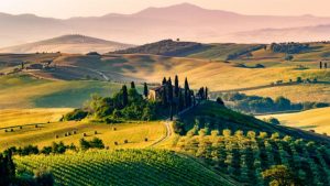 Read more about the article A beginner’s guide to Italian wine