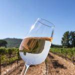 5 tips for enjoying wine this summer