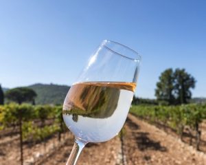 Read more about the article 5 tips for enjoying wine this summer