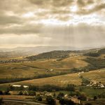 Jean-Claude Lapalu | An understated icon in Brouilly