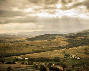 Read more about the article Jean-Claude Lapalu | An understated icon in Brouilly