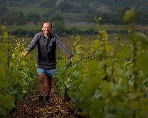 Read more about the article Domaine Michel Bouzereau & fils | Attentive wine making in Meursault