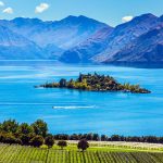 Fixed price selection | The world’s finest vineyards