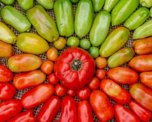 Read more about the article Food and wine pairings | Tomatoes