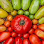 Food and wine pairings | Tomatoes