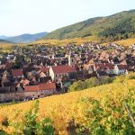 Alsace ranking | First-half review 2020