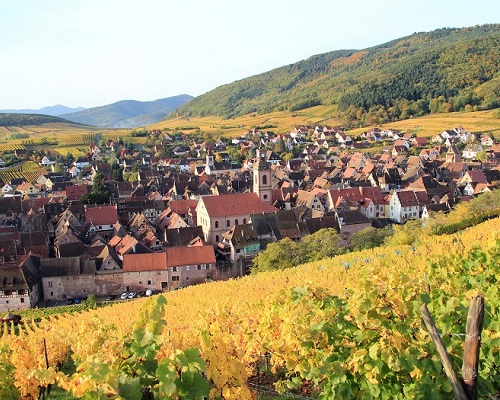 Read more about the article Alsace ranking | First-half review 2020