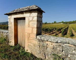 Read more about the article Burgundy ranking | First-half review 2020