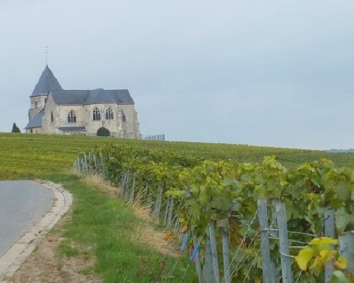 Read more about the article Laherte Frères | A little-known Champagne gem