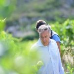 The Rocky Road to Les Alpilles | Domaine de Trévallon