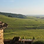Mongeard-Mugneret | How to stand out in Burgundy