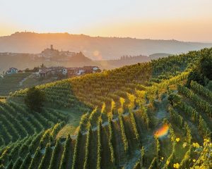 Read more about the article All there is to know about Barolo!