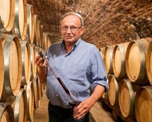 Read more about the article Domaine Bruno Clair | Burgundian heritage at its finest