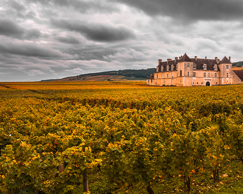 Read more about the article 100% Burgundy | Home of prestige and rarity