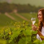 Champagne Taittinger: Always moving forwards