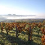 Gourt de Mautens | Experimental Rhône