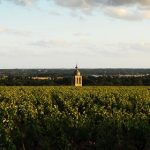 Domaine Huet: tradition and biodynamics in harmony