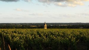 Read more about the article Domaine Huet: tradition and biodynamics in harmony