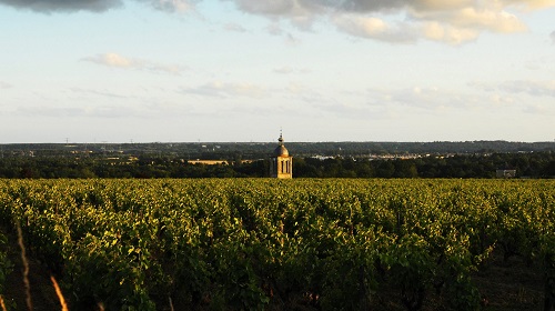 Read more about the article Domaine Huet: tradition and biodynamics in harmony